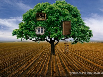 Sự kiện chứng khoán đáng chú ý ngày 24/11