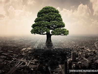 Sự kiện chứng khoán đáng chú ý ngày 16/12