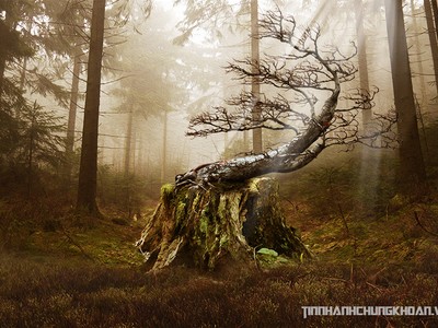 Sát khí trong phong thủy