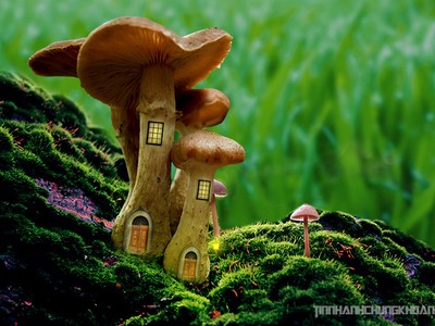 Sự kiện chứng khoán đáng chú ý ngày 21/2