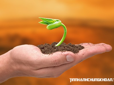 Nhận định thị trường phiên 29/12: Chú ý đến các cơ hội đầu tư dài hơi