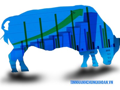 Nhận định thị trường phiên 29/11: Lực cầu bắt đáy có thể gia tăng trở lại 