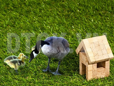 Trong ấm, ngoài mới êm!