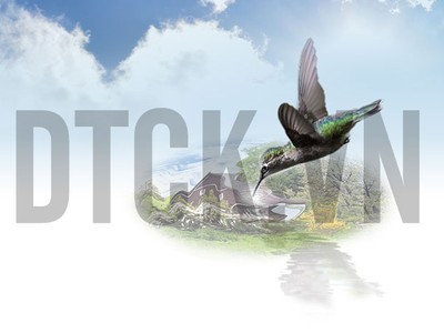 Top 10 cổ phiếu tăng/giảm mạnh nhất tuần cuối năm qua: Nhóm dầu khí, ngân hàng là gánh nặng