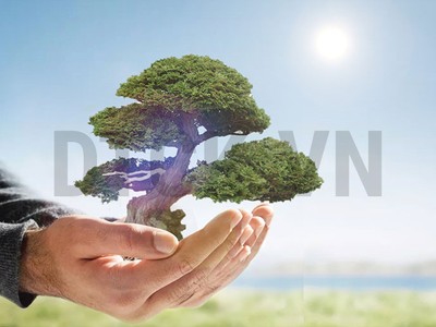 Nhận định thị trường phiên 4/1: Nên tập trung ở các cổ phiếu Largecap và Midcap