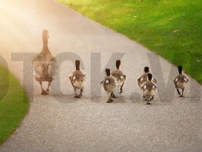 Sự kiện chứng khoán đáng chú ý ngày 27/1