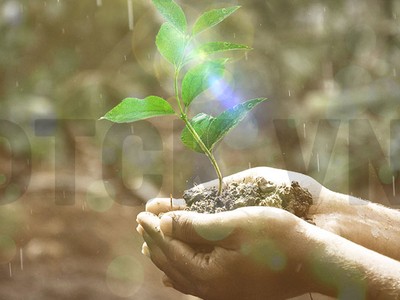 Góc nhìn kỹ thuật phiên 13/12: Thử thách ngưỡng cản 965 điểm