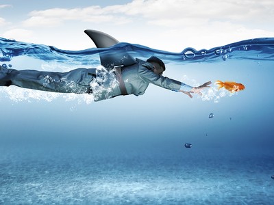 Nhận định thị trường phiên giao dịch chứng khoán ngày 26/3: Tạm thời hạn chế giải ngân mới