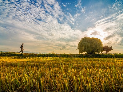 Sự kiện chứng khoán đáng chú ý ngày 16/7