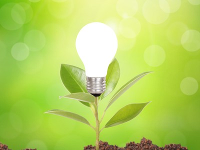 Nhận định thị trường phiên giao dịch chứng khoán ngày 19/8: Tận dụng những nhịp điều chỉnh mạnh để tích lũy cổ phiếu 