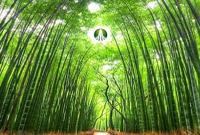 GTN: UBS AG London Branch bất ngờ mua 7,65% vốn