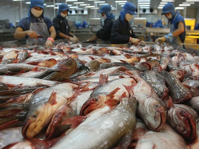 Việt Nam trở thành “kẻ chiến thắng” tại châu Á