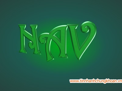 Vietnam Holding giật kỷ lục tăng trưởng: 40,8%