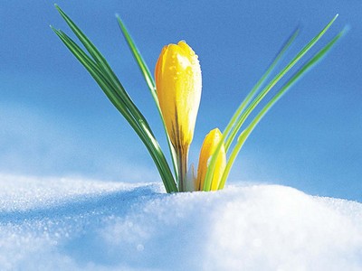 Địa ốc và câu chuyện đầu năm Ngựa