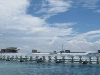 Phú Yên Cú huých từ lọc dầu và nông nghiệp công nghệ cao