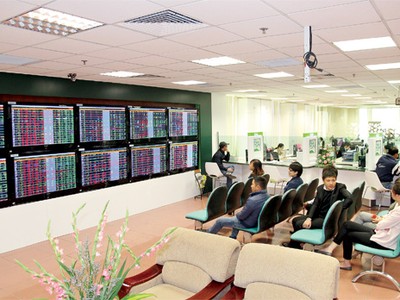 Chuyên gia chứng khoán "cáo" hay "nhím" đều... nói trật!