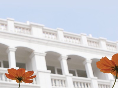 Nắng Xuân trong giá lạnh