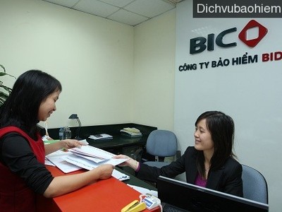 BIC lãi hợp nhất tăng 39% so với năm 2012
