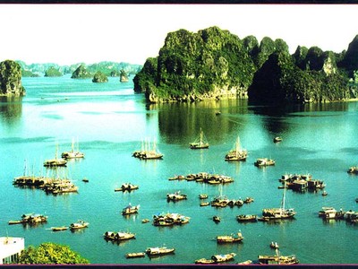 Bùng nhùng kinh doanh du lịch “núp bóng”