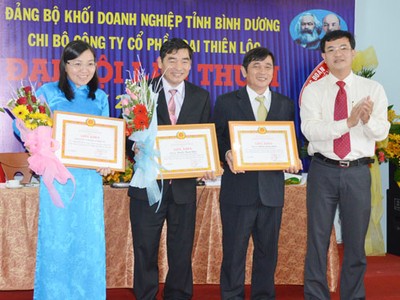 DTL cân nhắc kế hoạch lợi nhuận 30 tỷ đồng năm 2014