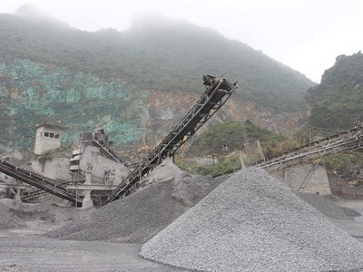 FCM sẽ phát hành 14,2 triệu cổ phiếu trong năm nay