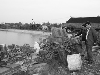 Nuôi tôm công nghiệp tại Thanh Hóa khốn đốn do chưa hội đủ các điều kiện cần và đủ 