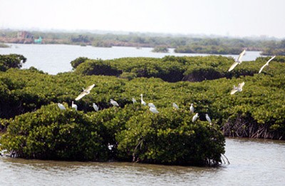 Công ty Ecorem muốn đầu tư vào khu vực Đầm Nhà Mạc