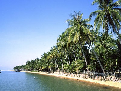 Điện gió LandVille Energy Ninh Thuận đưa vào bị “cảnh báo đỏ”