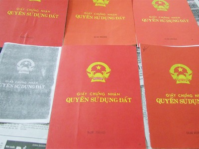 Cung đã sử dụng sổ đỏ giả lừa bán đất cho nhiều người và thế chấp vay vốn ngân hàng