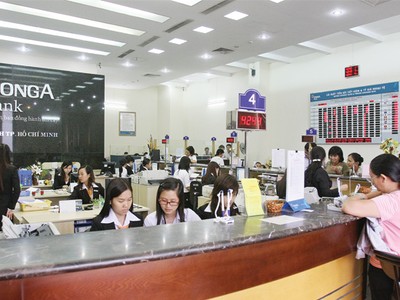 Đặt mục tiêu tăng 20% vốn điều lệ, nhưng DongA Bank lại giảm chỉ tiêu lợi nhuận một nửa so với 2013