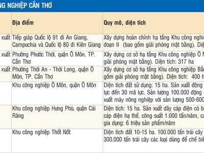 Các khu công nghiệp Cần Thơ: Tạo môi trường đầu tư thông thoáng hơn