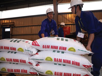 Khó có khả năng tăng giá phân đạm trên thị trường 