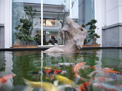 Phong thuỷ kích hoạt vận may nghề nghiệp