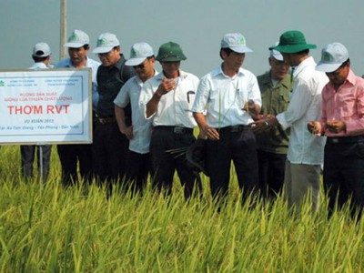 NSC gom cổ phiếu nhiều công ty cùng ngành