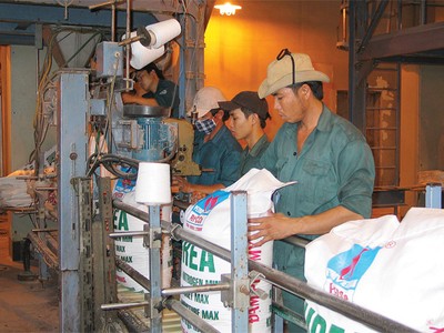 Lợi nhuận quý II của DPM có thể giảm mạnh