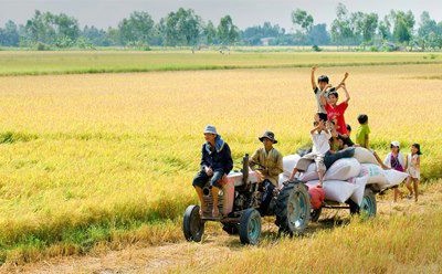 TSC: FIT có thể nắm tới 75% vốn điều lệ