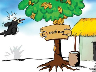 Sàn bất động sản… bán vịt trời giá 350 tỷ đồng