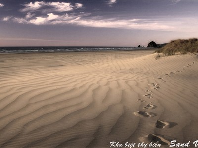 Dự án Sand Villa nằm trên bán đảo du lịch của TP. Đồng Hới, với khí hậu biển và thừa hưởng cảnh quan của các khu resort 5 sao đã và đang hình thành