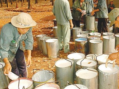 Tháng 6, DPR ước đạt 17,7 tỷ đồng lợi nhuận