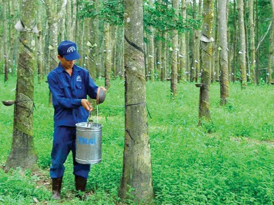 6 tháng, TRC đạt lợi nhuận gần 80 tỷ đồng