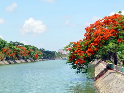 Hải Phòng giải phóng mặt bằng cho Dự án Sân bay Cát Bi