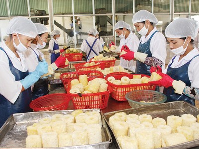 Sự quản lý chồng chéo đang gây ra nhiều khó khăn cho doanh nghiệp