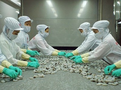 Công ty mẹ MPC lãi ròng quý II gấp 7 lần cùng kỳ