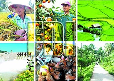 Tỷ trọng vốn FDI trong nông nghiệp là rất thấp