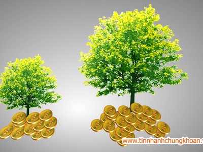 Nhà đầu tư vẫn đứng ngoài các quỹ mở