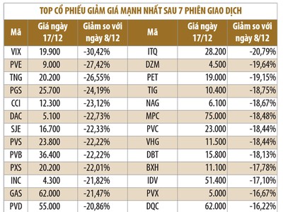Doanh nghiệp lớn vẫn vững bước