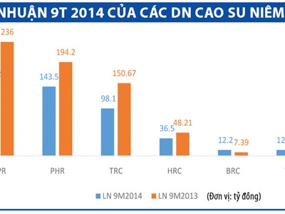 Doanh nghiệp cao su “đầu hàng” kế hoạch kinh doanh