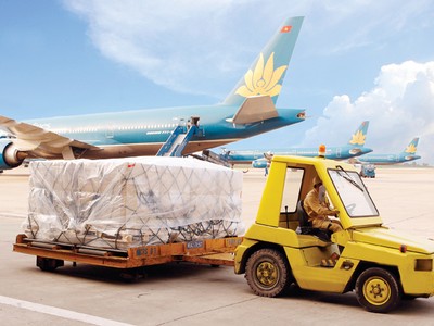 NCT dự kiến mức cổ tức năm 2014 đạt trên 100%