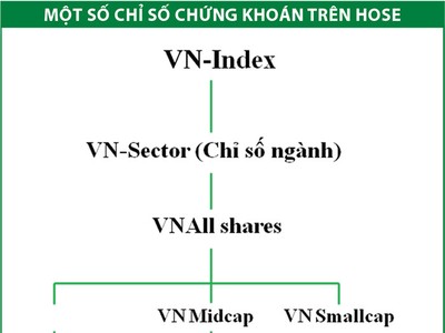 Dấu ấn bộ chỉ số HOSE Index