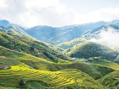 Thung lũng Mường Khương nở đầy hoa dại, thơm ngát, báo hiệu mùa Xuân đã về với vùng đất Tây Bắc
